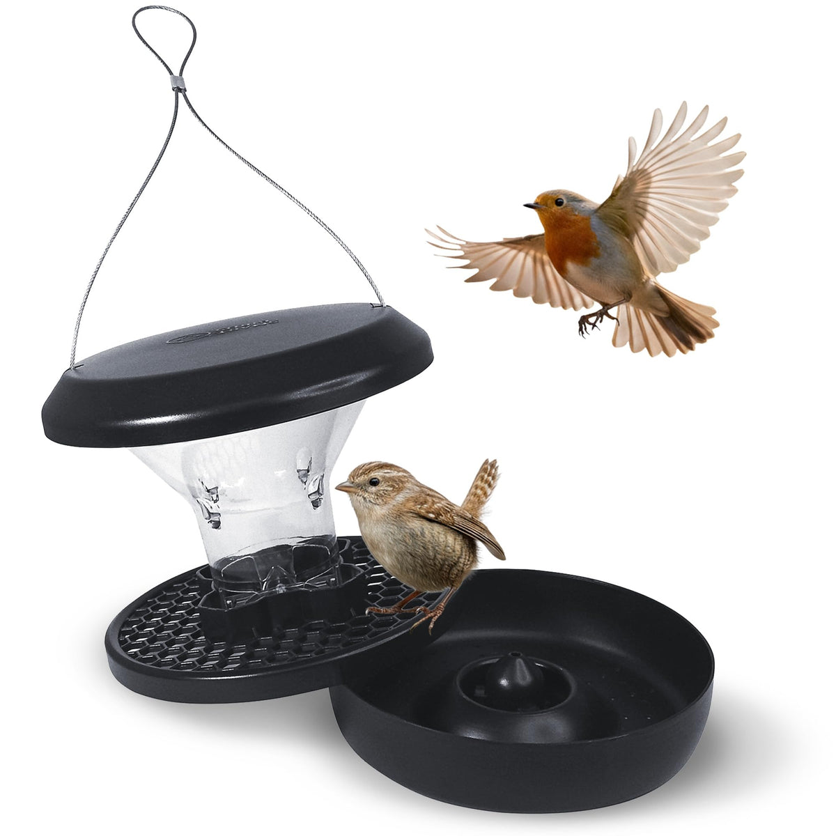 SWISSINNO Squirrel Proof Bird Feeder with Solid Metal Base - No Spill