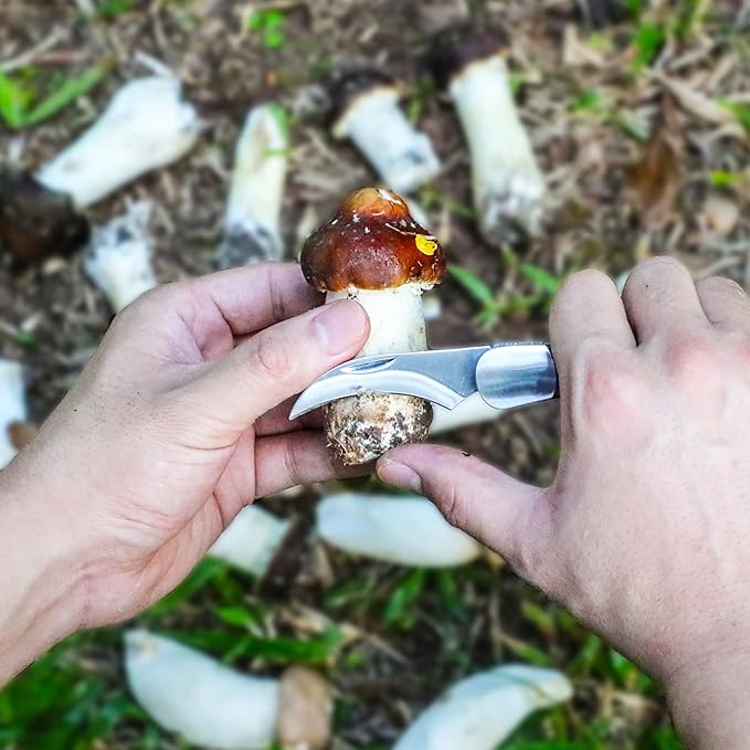 Mushroom Foraging Knife - Folding Knife with Brush and Sheath for Mushroom Lovers