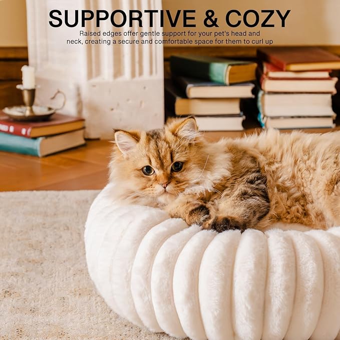 MEWOOFUN Cat Bed, Washable Beds for Indoor Cats, Cute Donut Bed Fluffy Pet Bed with Non-Slip Bottom, Calming Round Bed for Puppy and Kitten (Cream)