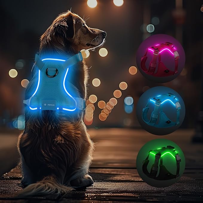 Light Up Dog Harness,Reflective Pet Harness Rechargeable,Led Dog Vest for Night Walking,Adjustable Safety Vest for Small Medium Large Dogs-No Pull,Blue,S