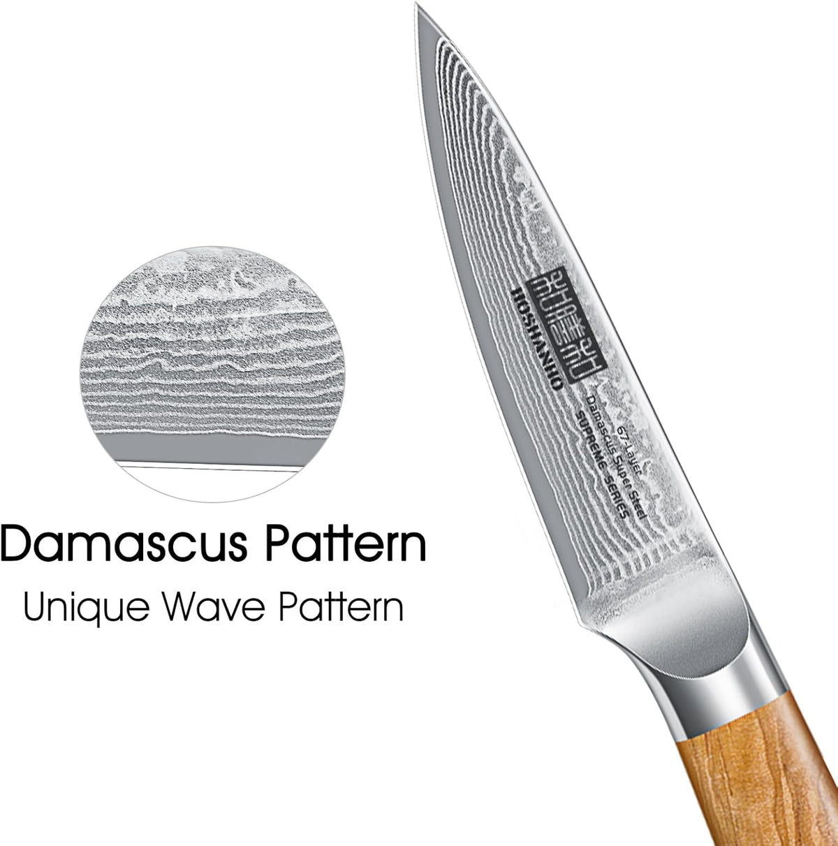 Damascus Paring Knife 3.75 Inch, Professional 67 Layers Damascus Super Steel Small Fruit Knife, Super Sharp Hand Forged Japanese Paring Knife