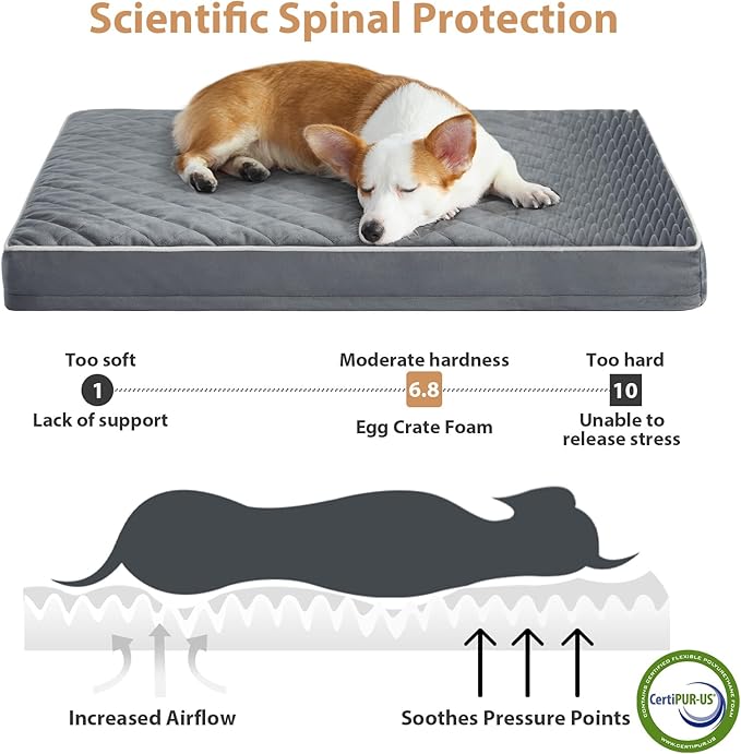 WNPETHOME Orthopedic Dog Bed Medium Size Dog, Waterproof Medium Dogs Bed with Removable Washable Cover, Multi-Needle Quilting Dogs Crate Bed