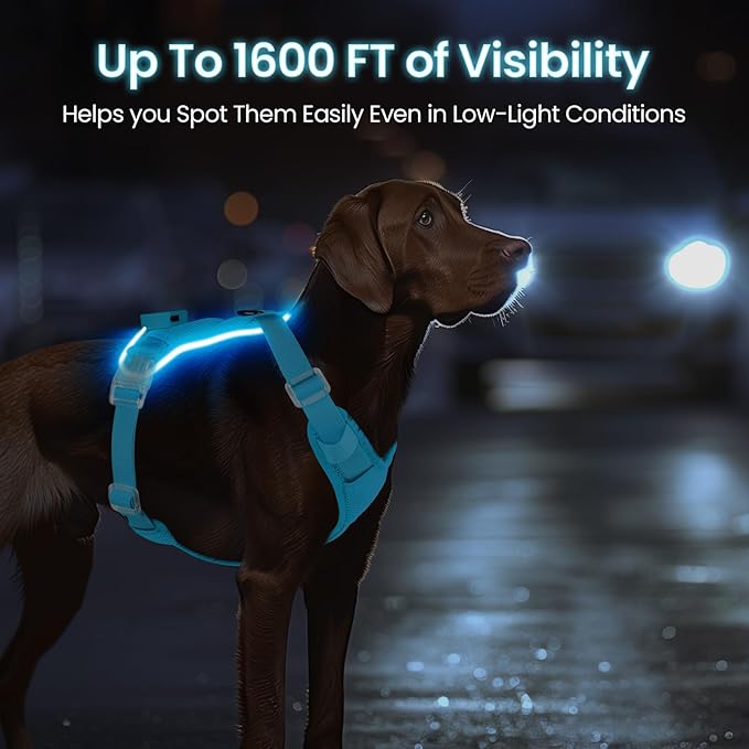 Light Up Dog Harness,Reflective Pet Harness Rechargeable,Led Dog Vest for Night Walking,Adjustable Safety Vest for Small Medium Large Dogs-No Pull,Blue,S