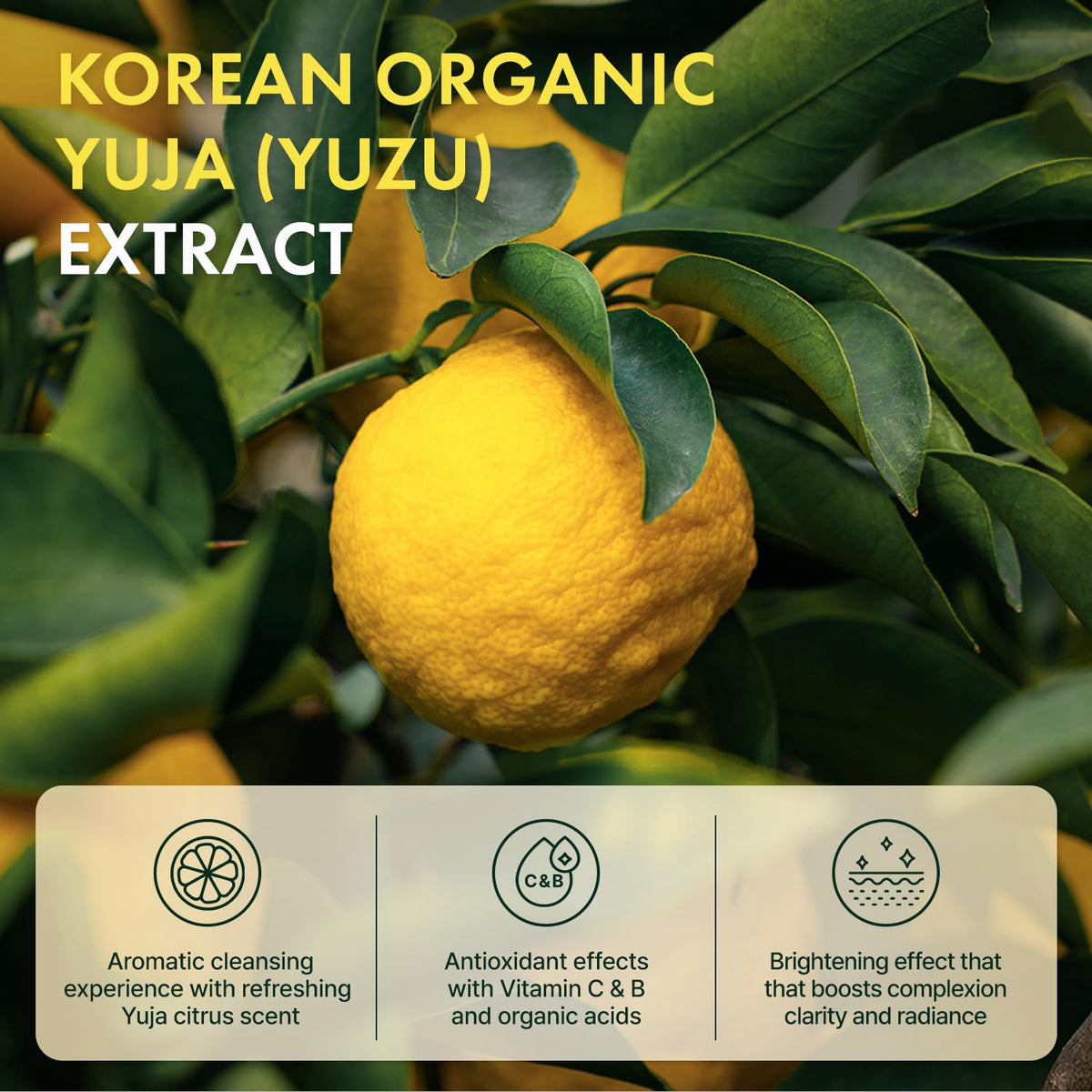 IRECIPE Ceramide Yuja Makeup Cleansing Balm with Travel Size | Deep Cleansing All-in-One Korean Face Cleanser, Makeup Remover, Zero Irritation, Blackheads Remover, Clean Beauty, Vegan (135g / 4.76oz)
