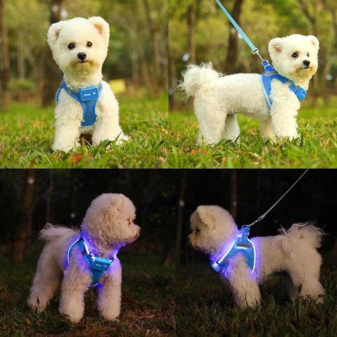 Light Up Dog Harness,Rechargeable LED Dog Harness for Small Medium Large Dogs,Reflective Lighted Safety Vest for Night Walking & Camping,Lightweight & Adjustable,Sky Blue,L