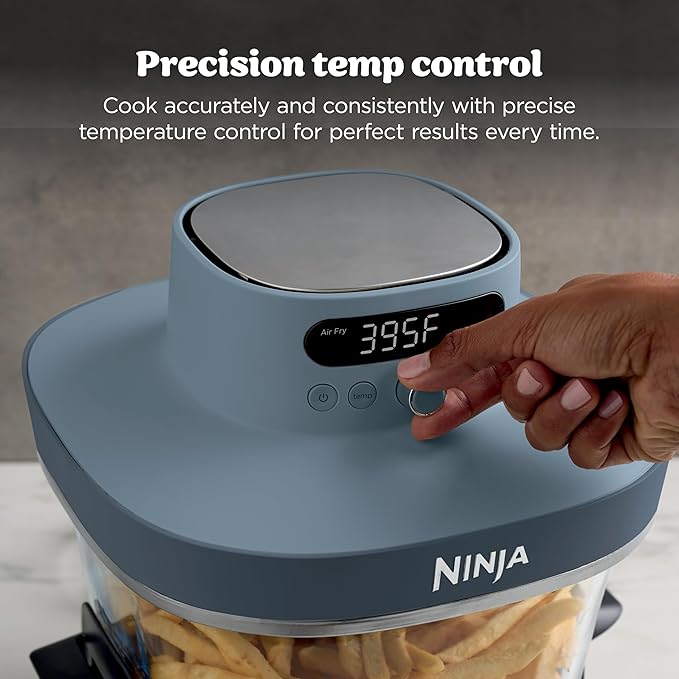 Ninja Crispi Pro 6-in-1 Glass Air Fryer | 450°F, Nontoxic, 6qt & 2.5qt Containers & Lids | Microwave, Freezer, Dishwasher Safe | Max Crisp, Air Fry, Bake, Roast, Recrisp, Dehydrate |Cyberspace AS101CY