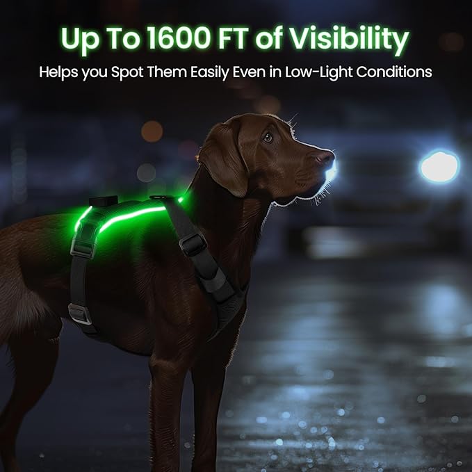 Light Up Dog Harness,Reflective Pet Harness Rechargeable,Led Dog Vest Harness for Night Walking,Adjustable Dog Safety Vest for Small Medium Large Dogs-No Pull,Black,L