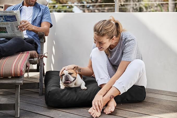K9 Ballistics Tough Rectangle Pillow Small Dog Bed - Removable Cover, Washable, Durable & Water Resistant Dog Bed Made for Small Dogs 24"x18" Light Gray Velvet