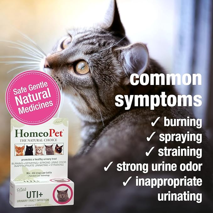 HomeoPet Feline UTI Plus, Safe and Natural Urinary Tract Medicine for Cats, Feline Urinary Tract Support, 15 Milliliters - Pack of 2