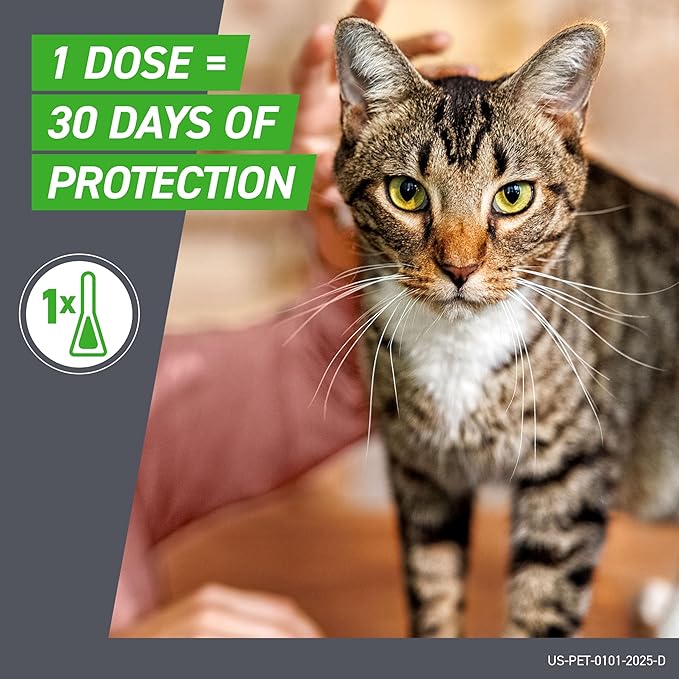 FRONTLINE Plus Flea and Tick Treatment for Cats Over 1.5 lbs. 6 Treatments