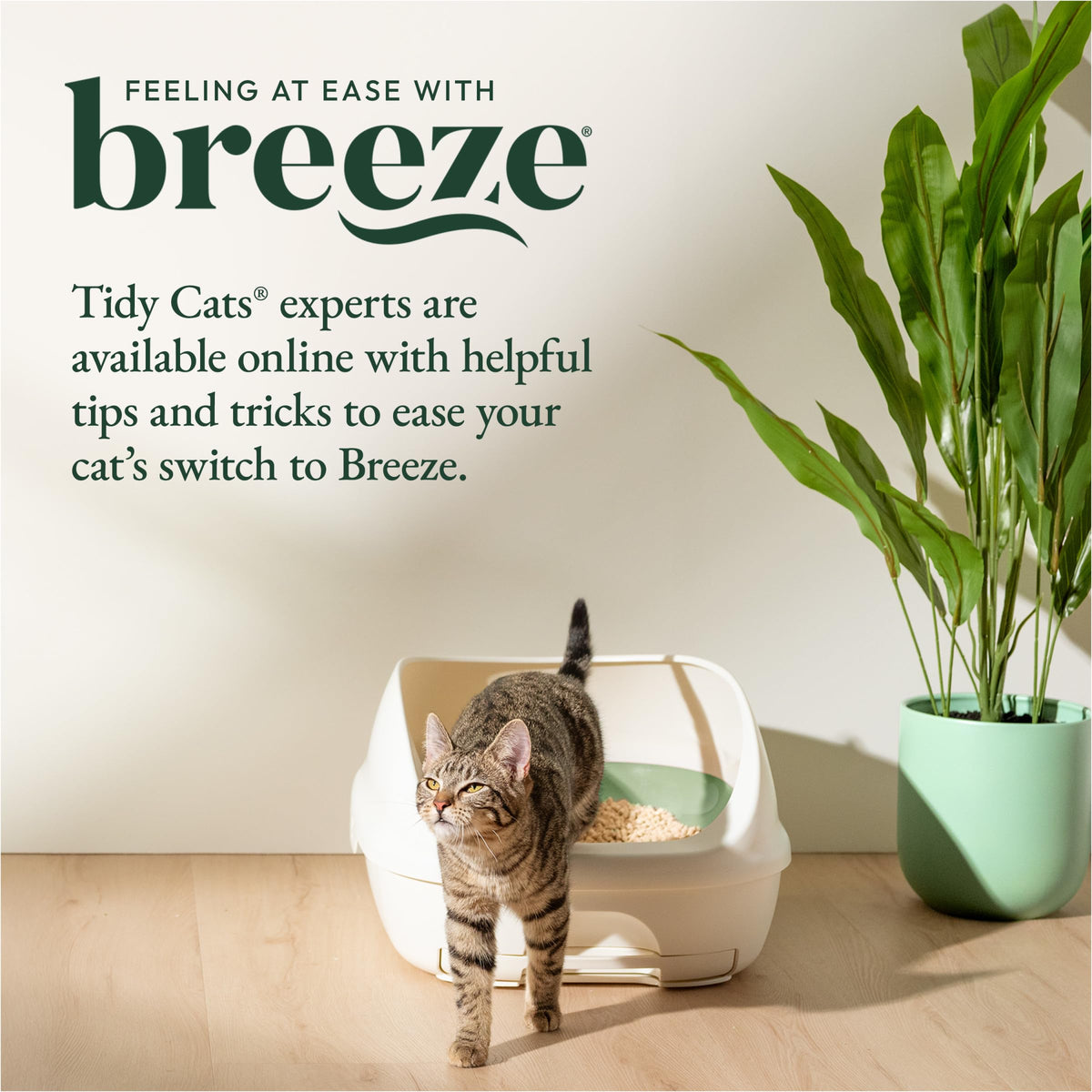 Purina Tidy Cats Breeze Cat Litter Box System Kit with Pellets & Pads