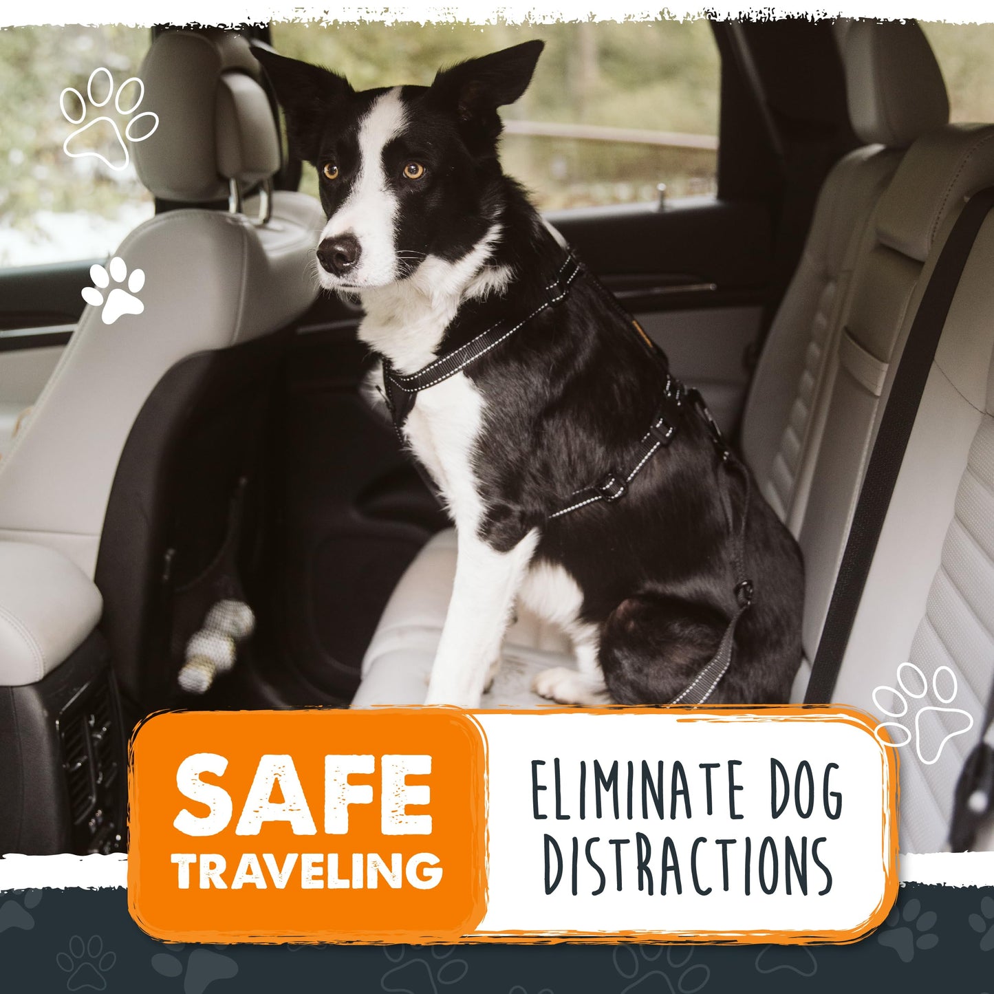 Mighty Paw Dog Seat Belt for Car, Heavy-Duty Aviation Aluminum Carabiner
