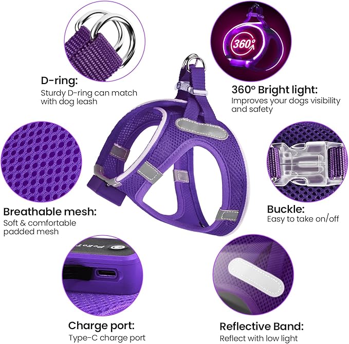 PceoTllar Light Up Dog Harness, LED No Pull Reflective Dog Harness, Flashing Lighted for Night Walking - Small/Medium, (Purple,XS)