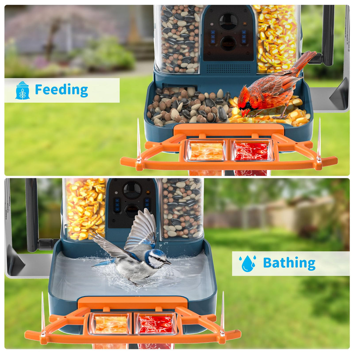 Smart Solar Bird Feeder with Camera & Outdoor Bird Bath