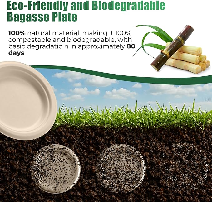 250 Piece Biodegradable Paper Plates Set Disposable Dinnerware Set, Eco Friendly Compostable (EXTRA LONG UTENSILS), Utensil include, Forks, Knives and Spoons for Party andBirthday party, camping