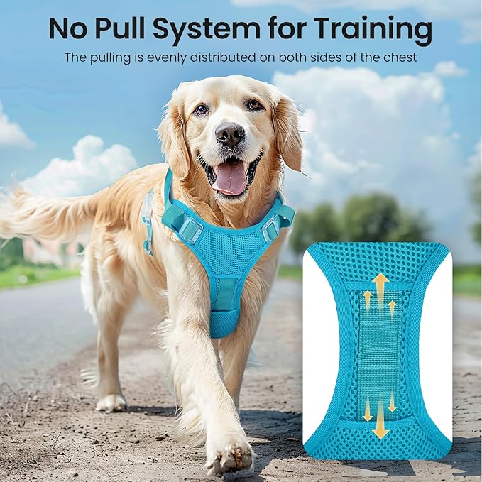 Light Up Dog Harness - Rechargeable LED Reflective Pet Vest for Night Walking - Adjustable No-Pull Safety Harness for Small Medium Large Dogs, Blue, XS