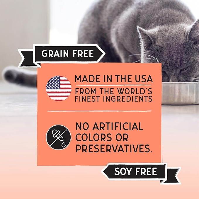 Blackwood Bounty Dry Cat Food, Salmon & Rainbow Trout Recipe for All Life Stages, 2 Pound Bag, High Protein, Grain Free