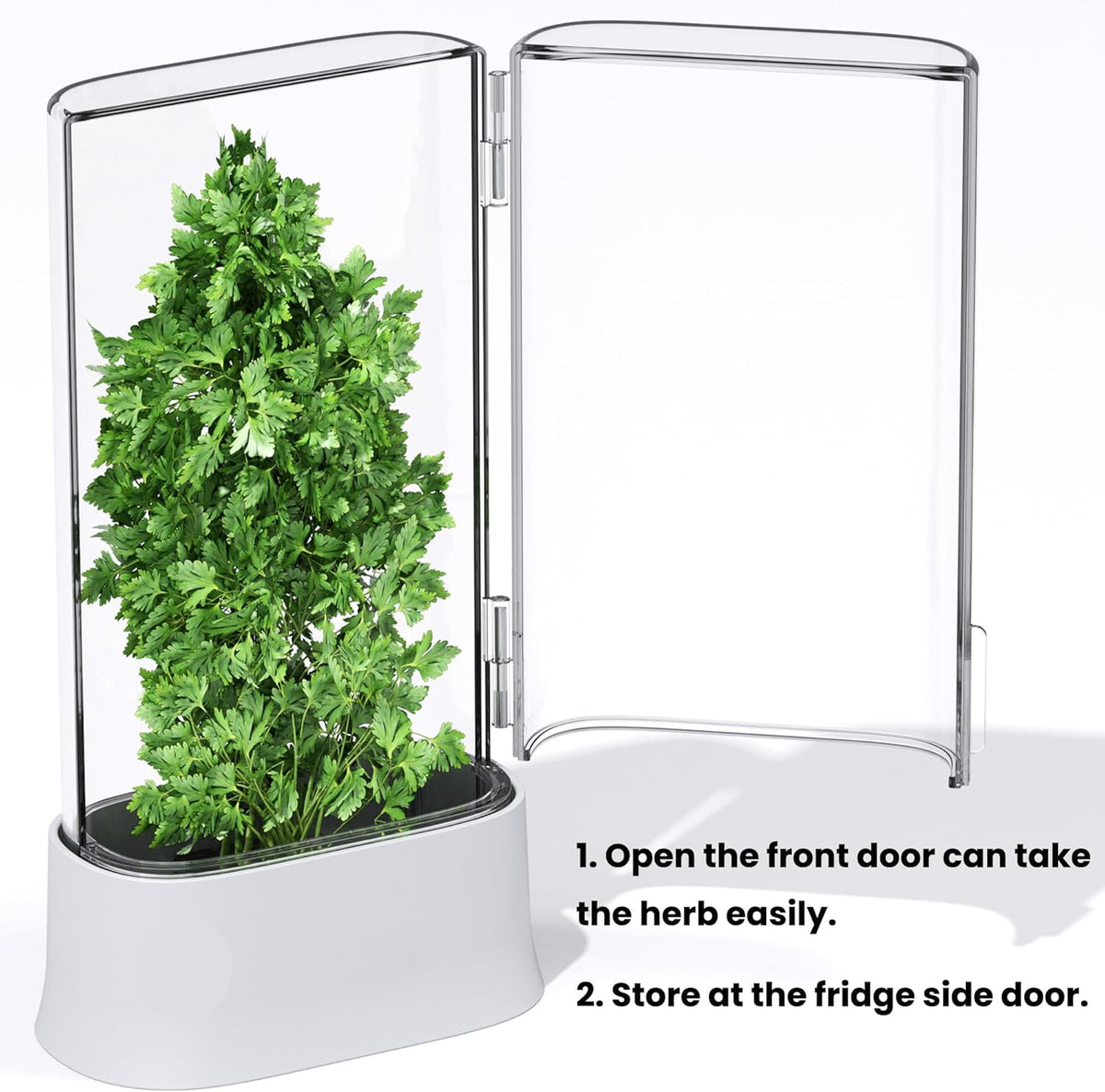vacane Herb Keeper for Refrigerator, Fresh Herb Saver Herb Storage Containers, Cilantro Container for Fridge Asparagus Container, Dishwasher Safe-2 Pack