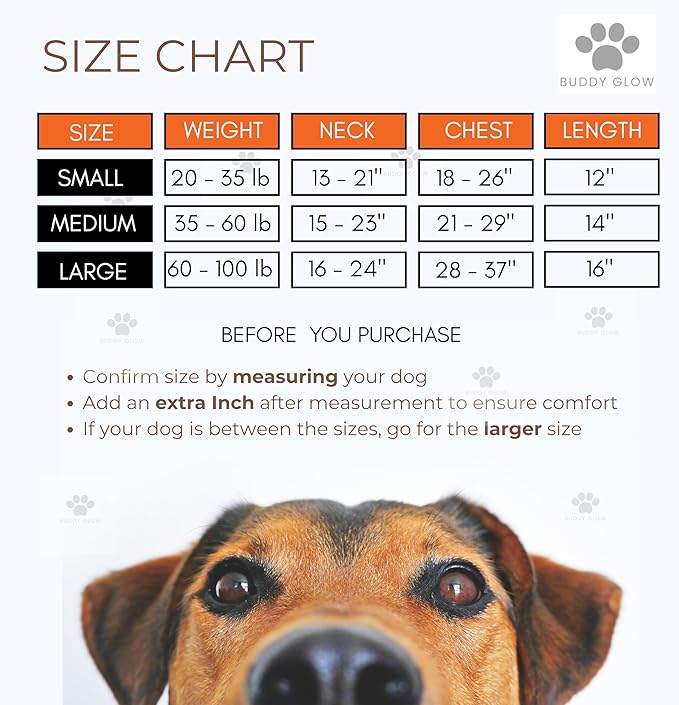 Reflective Dog Vest – Fluorescent Orange | High-Visibility, Water-Resistant Safety Jacket with Adjustable Fit for Day & Night Walks, Hiking, Hunting, and Outdoor Use (Small)