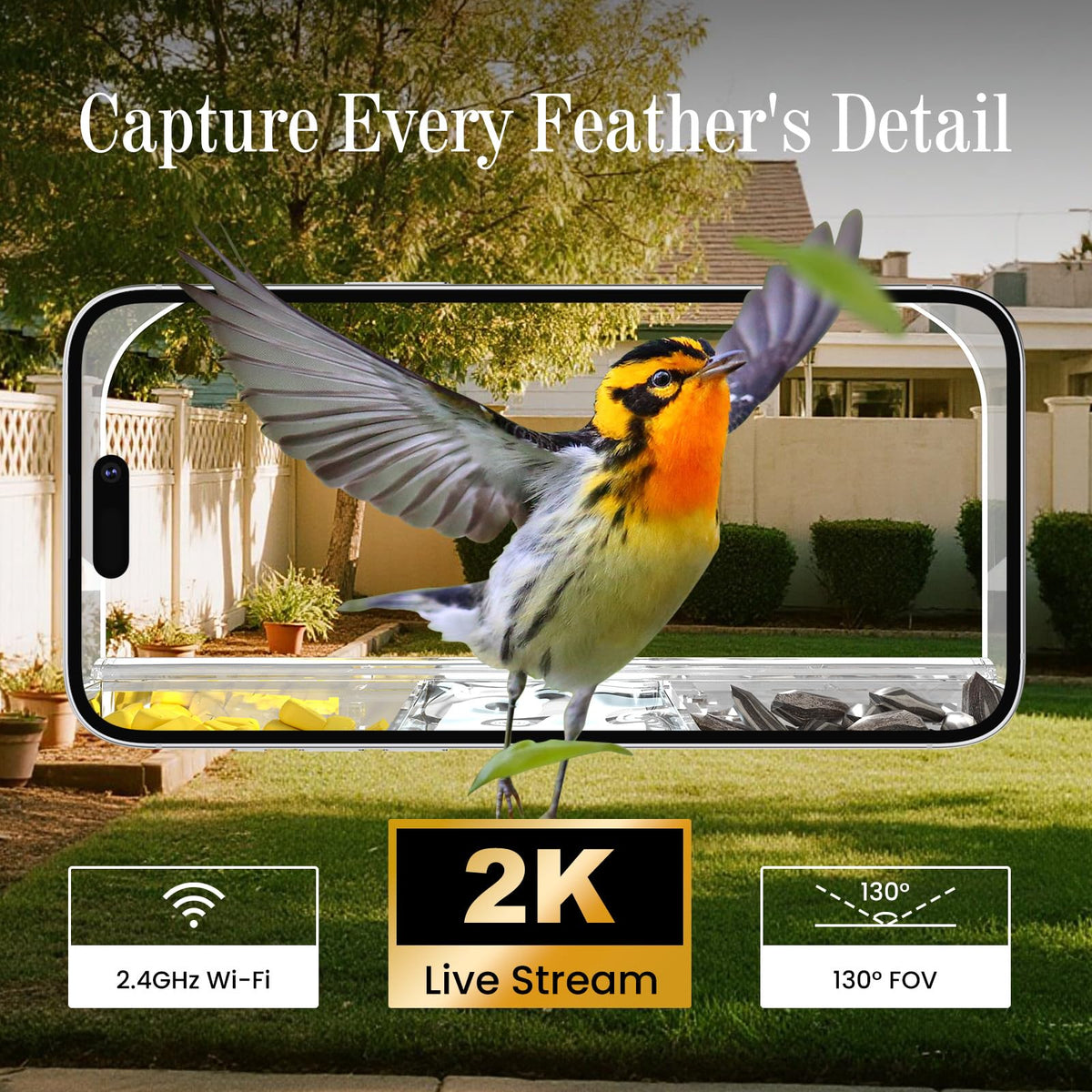 Window Bird Feeder with Strong Suction Cups and Smart Bird Camera