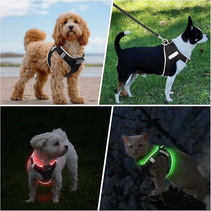 PceoTllar Light Up Dog Harness, LED No Pull Reflective Dog Harness, Flashing Lighted for Night Walking - Small/Medium, (Black Red,m)
