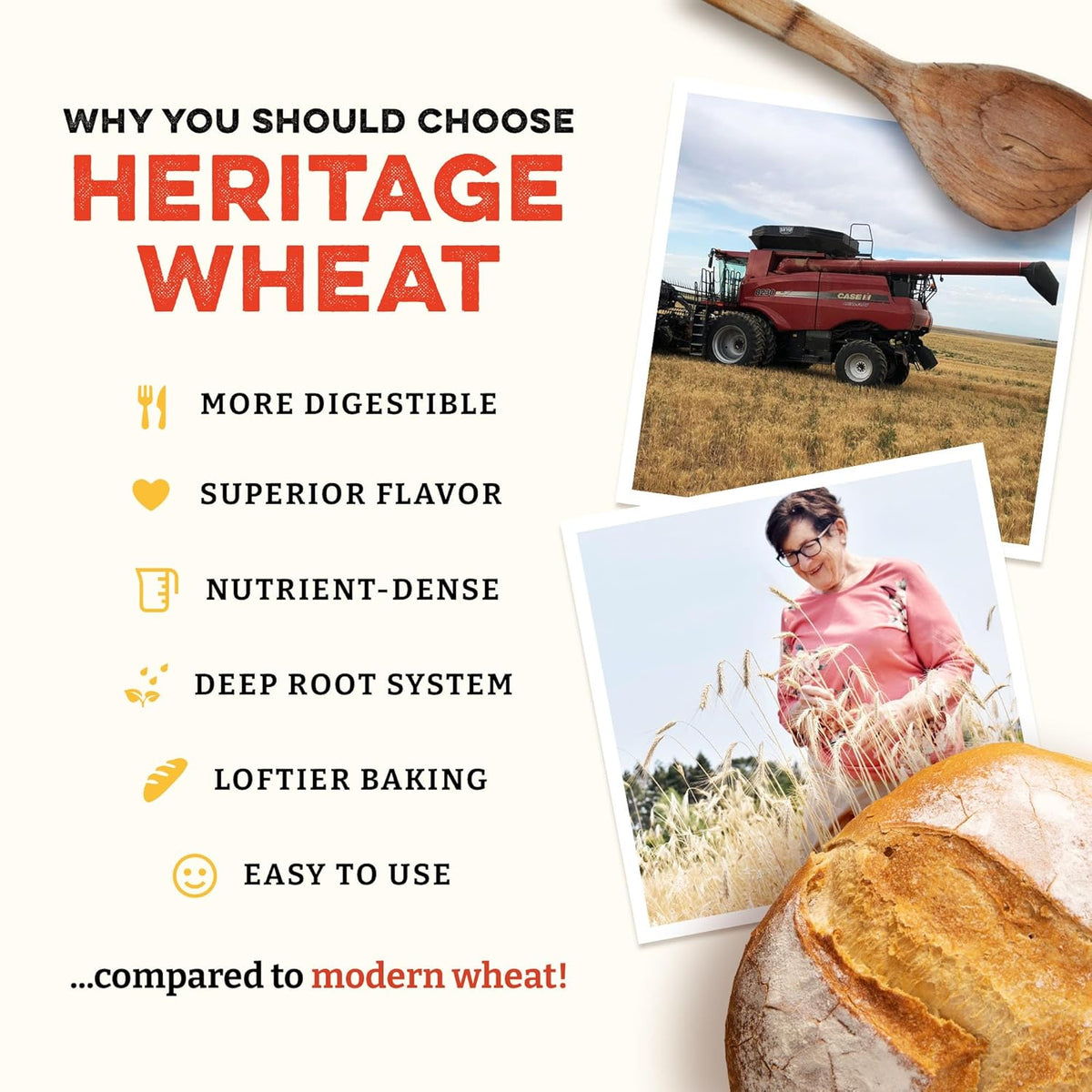 Sunrise Flour Mill Heritage Organic Bread Flour Blend - 25 lbs | Organic Unbleached Bread Flour Easy to Digest with Less Bloating | High Protein, Superior Baking | Smooth, Nutty Flavor