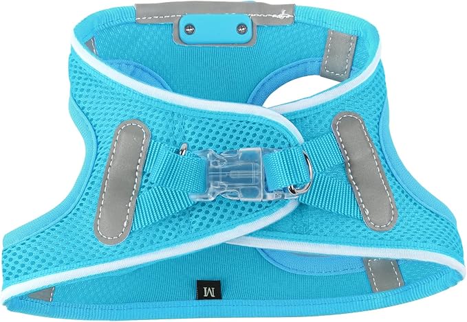 Light Up Dog Harness,Rechargeable LED Dog Harness for Small Medium Large Dogs,Reflective Lighted Safety Vest for Night Walking & Camping,Lightweight & Adjustable,Blue,XS