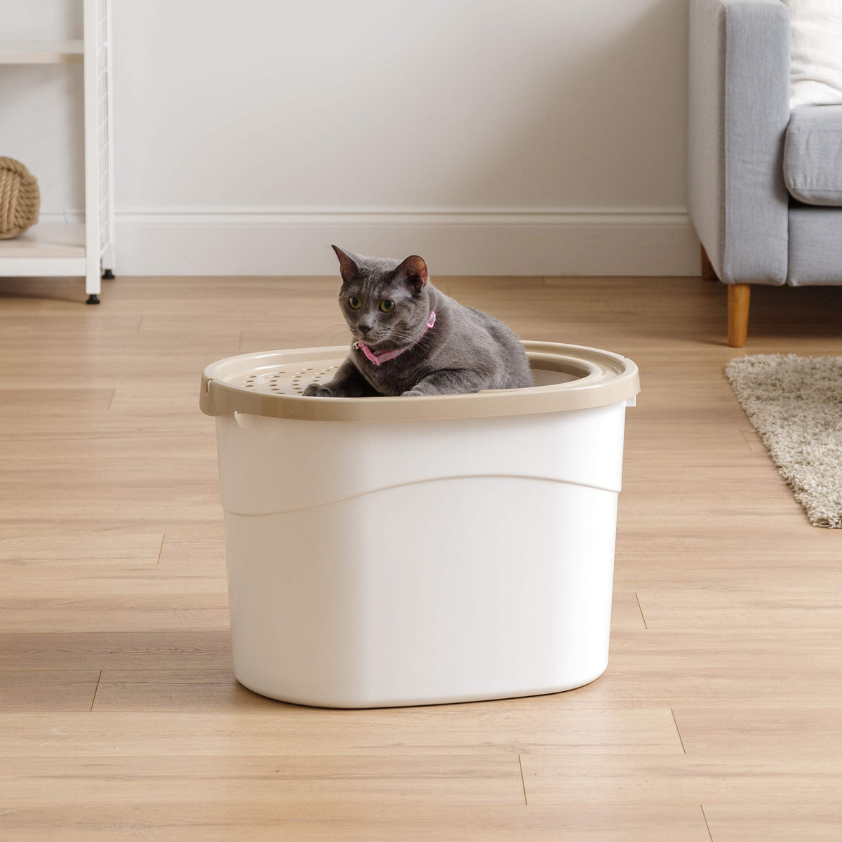 IRIS USA Top Entry Cat Litter Box, Hooded Privacy, Large, Beige