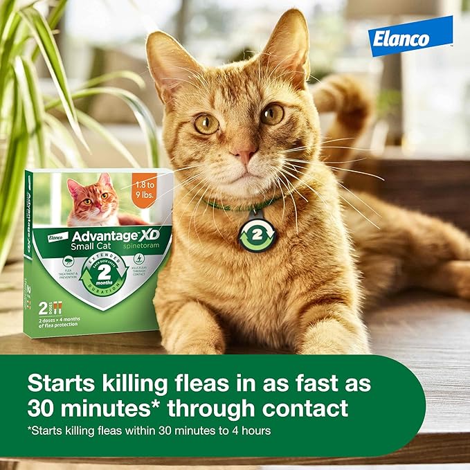 Advantage XD Small Cat Flea Prevention & Treatment For Cats 1.8-9lbs. | 4-Topical Doses, 2-Months of Protection Per Dose