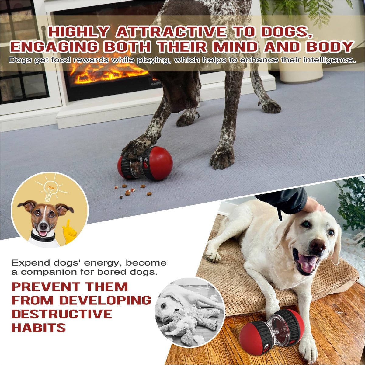 Interactive Dog Puzzle Toy - Mental Stimulation Rolling Treat Dispenser Ball & Slow Feeder Bowl Combo Set | Keeps Your Beloved Dog Focused & Busy | Extra Large Adjustable Treat Dispenser