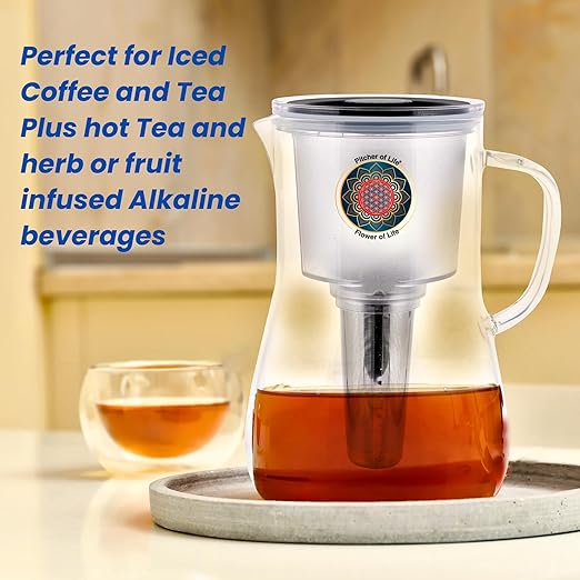 Borosilicate Glass Alkaline Water Pitcher of Life with Stainless Steel Fruit Infuser Glass Water Filter Pitcher with Lid Clearly Filtered Water Pitcher Increases pH NSF/ANSI 42 & 61 Certified Filters