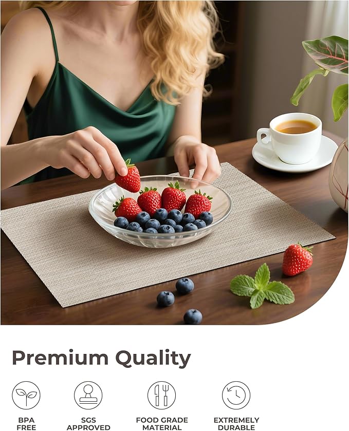 Leetaltree Beige White Placemats Set of 12 - Heat Resistant Non-Slip Place mats for Dining Table, Washable Durable PVC Vinyl Woven Table Mats(Beige White, 12)