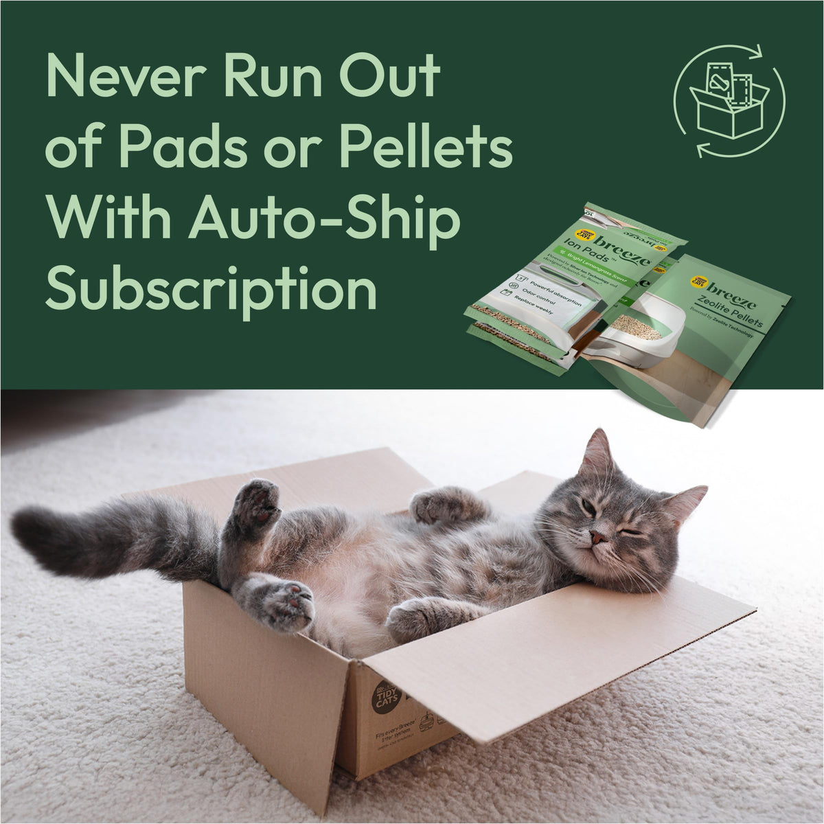 Purina Tidy Cats Breeze Cat Litter Box System Kit with Pellets & Pads