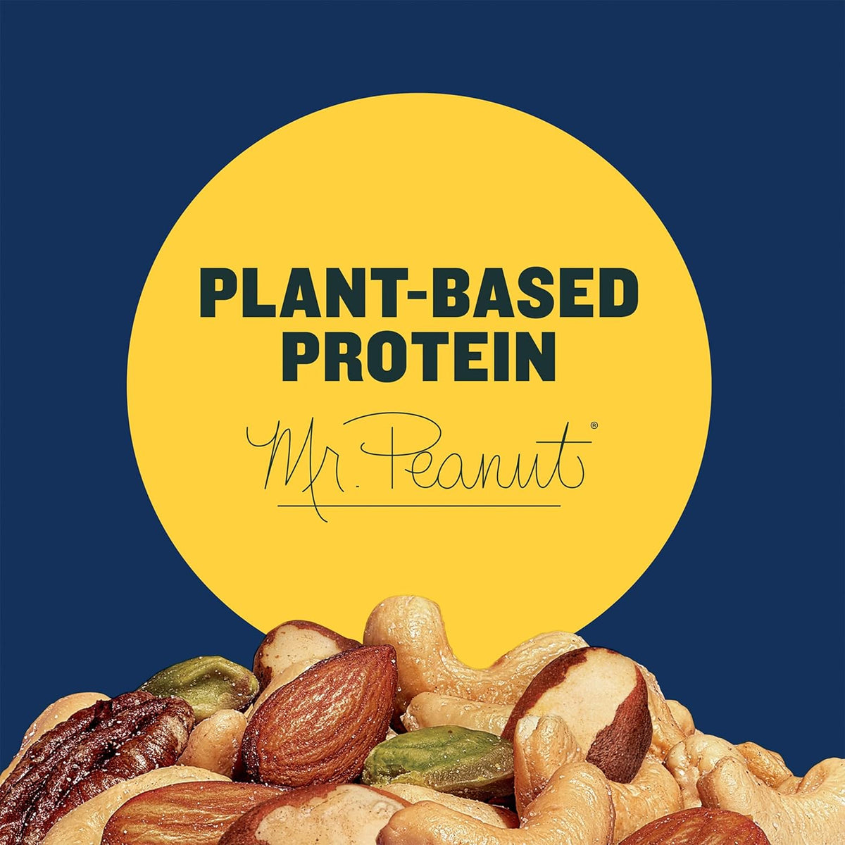 PLANTERS Pistachio Nuts Lovers Nut Mix with Pistachios no shell, Almonds & Cashews, Party Snacks, Plant-Based Protein, After School Snack, Bulk Nuts, Kosher 1lb 2.5oz
