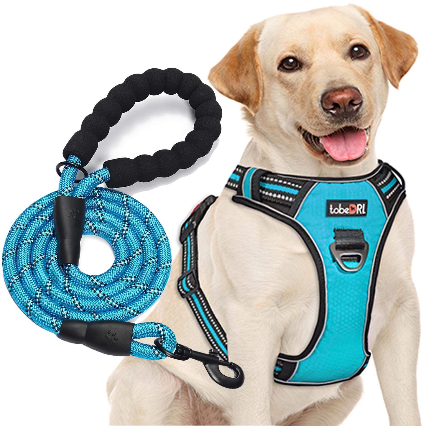tobeDRI No Pull Dog Harness Adjustable Reflective Oxford Easy Control Medium Large Dog Harness with A Free Heavy Duty 5ft Dog Leash, Blue, L