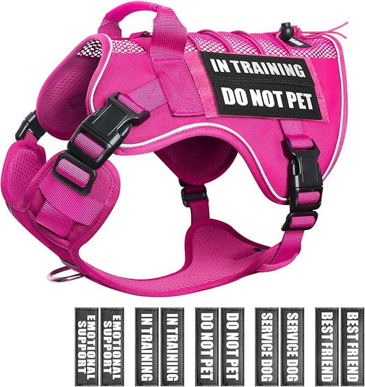 WINSEE Service Dog in Training Mesh Harness with 10 Pet Patches, Soft Air Mesh Breathable Tactical Dog Molle Vest, Reflective Military Pet Vest for Walking Hiking for Medium Dogs