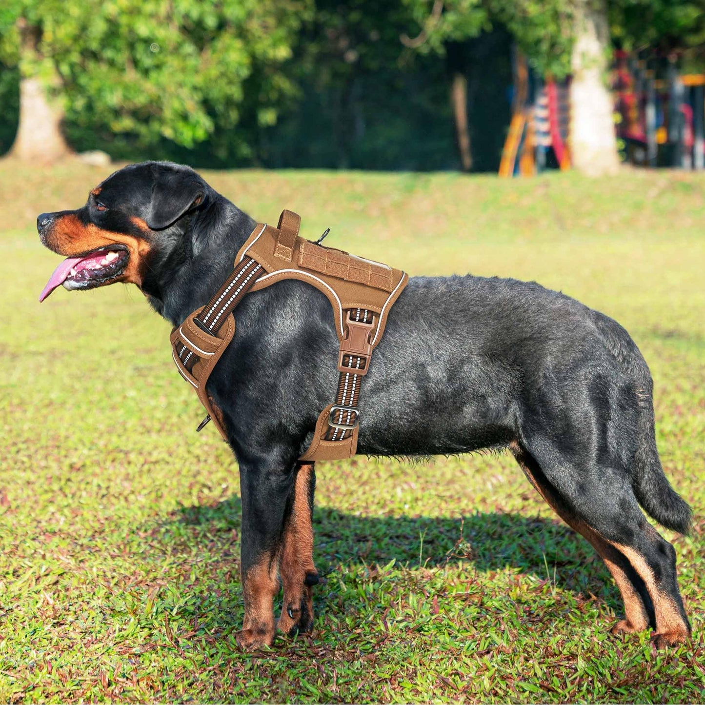 Beebiepet Heavy Duty Tactical Dog Harness for Small Dogs, No Pull Adjustable Pet Harness Reflective Service Training Easy Control Pet Vest Military K9 Working Dog Harnesses- Large, Brown