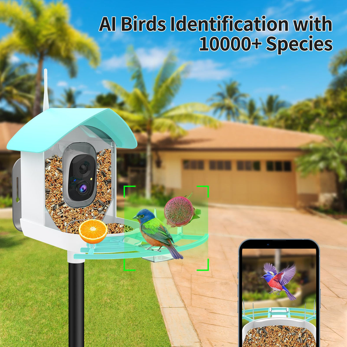 Gyozol Bird Feeder with Camera,WiFi Smart Bird House with Cam Solar Powered