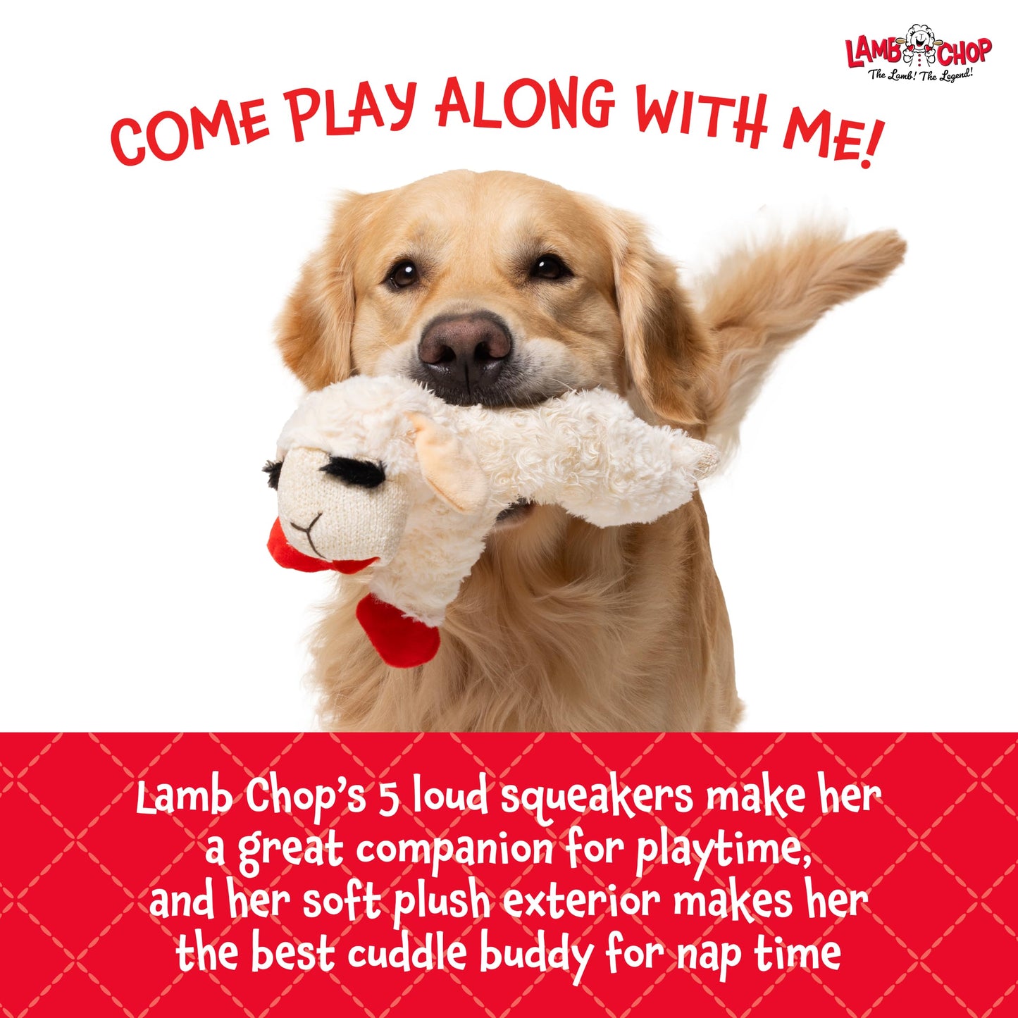 Multipet Lamb Chop Dog Plush Toy - Squeaky Toy for Small & Medium Dogs - Extra Soft Plush - Stuffed Animal for Cuddling & Playing (10", Cream, 5 Squeakers)