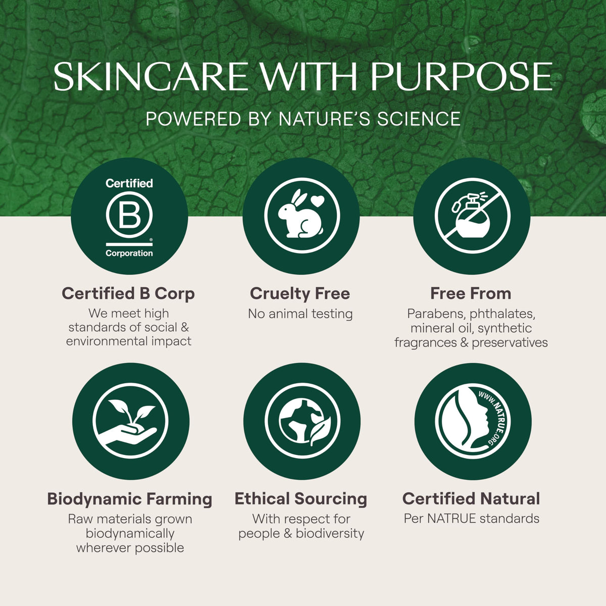 Weleda Skin Food Face Care Nourishing Oil-to-Milk Cleanser, 2.5 Fluid Ounce, Plant Rich Cleanser with Sunflower Seed Oil, Chamomile Extract and Pansy