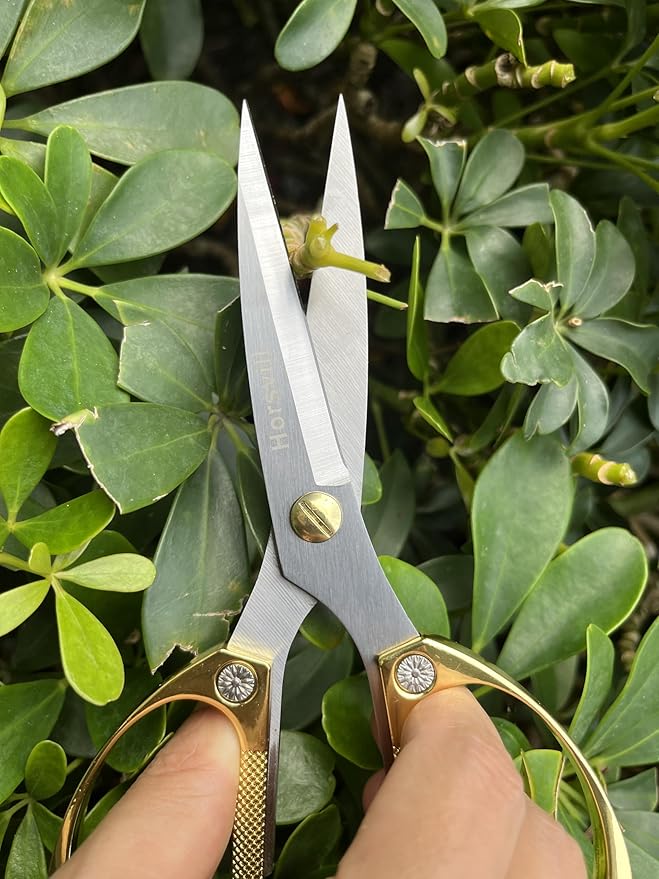 Indoor Plant Shears and Garden Scissors, Houseplant Shears Made of Japan SK5 Stainless Steel, Flowers Herbs and Plant Cutters, Clippers, Trimmers, Loppers, Bonsai Plant Pruning Scissors