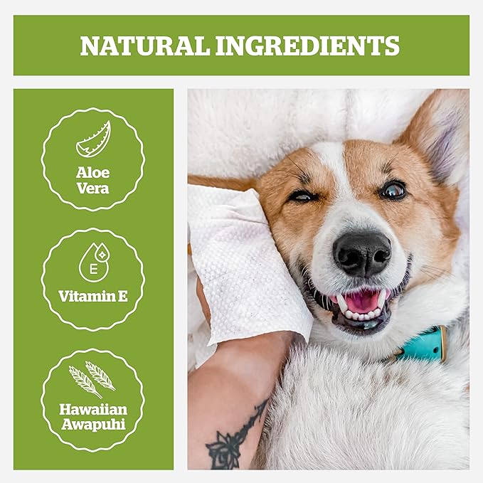 Pogi’s Dog Grooming Wipes – Hypoallergenic Pet Wipes for Paws, Body & Butt – Cleaning & Hydrating, Green Tea Scent, 400-Count