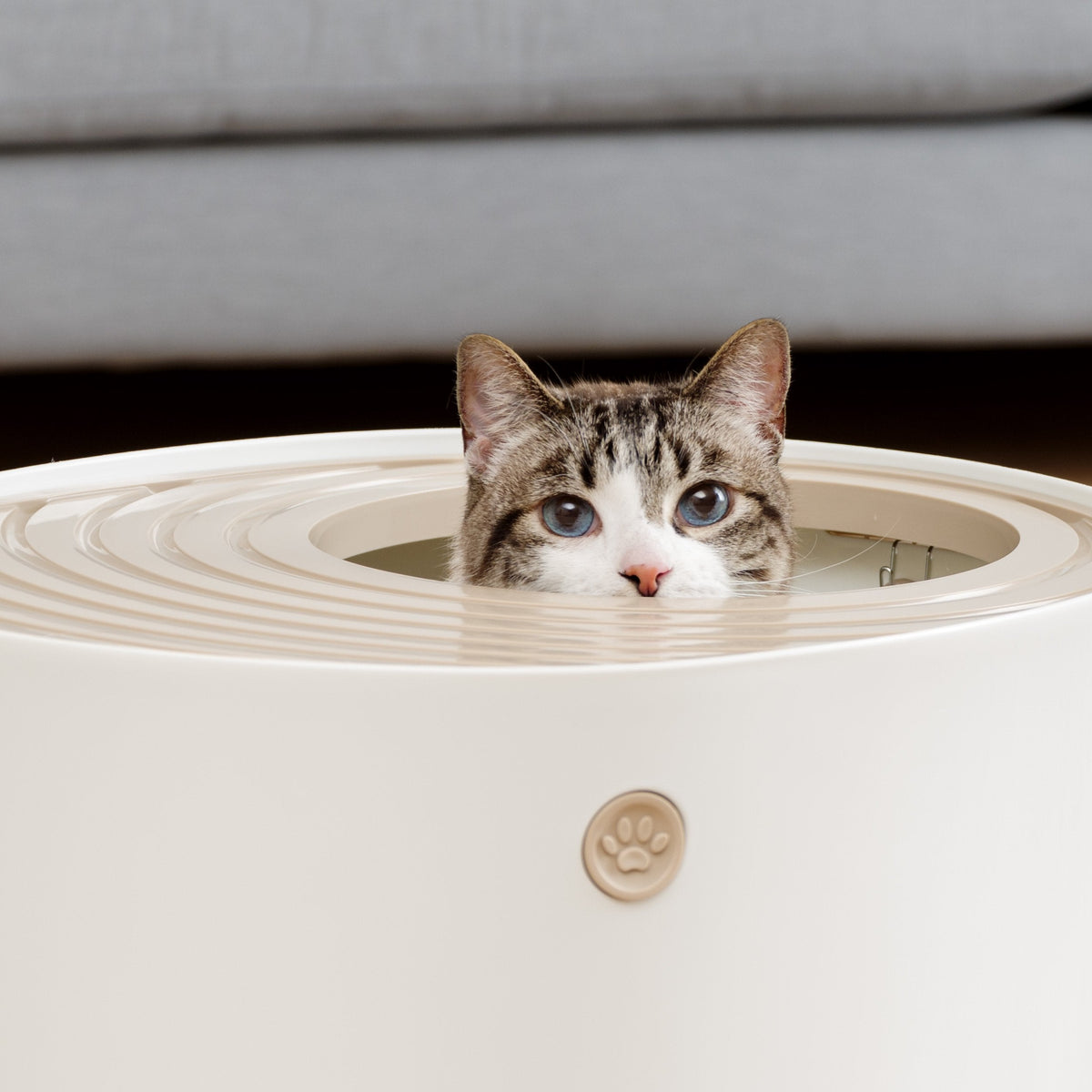 IRIS USA Top Entry Cat Litter Box, Hooded Privacy, Large, Beige/White
