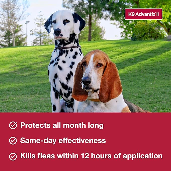 K9 Advantix II Large Dog Vet-Recommended Flea, Tick & Mosquito Treatment & Prevention | Dogs 21-55 lbs. | 1-Mo Supply (Pack of 3)