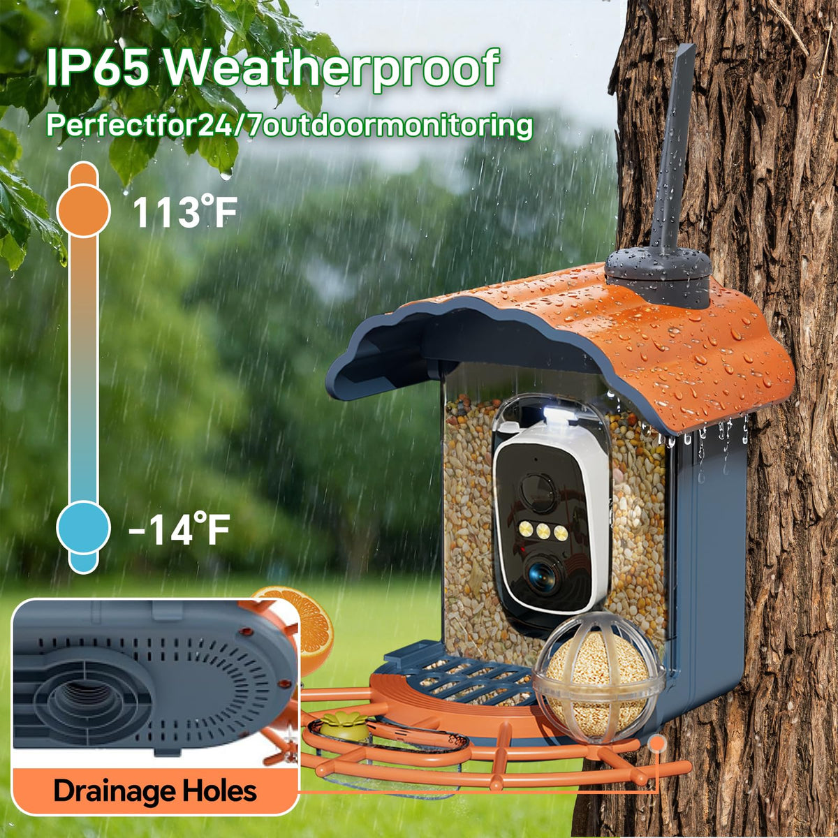 Smart Bird Feeder with 2K Camera: Wireless Wild Bird Feeder Solar Powered