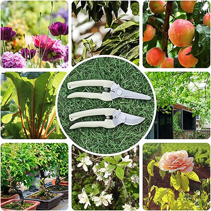 Premium garden shears, meperez pruning scissors gardening tools, pruners for flower, bushes, rose and fruit tree, use for florist, yard and orchard the plant clippers, sharp white steel anvil snips, 2