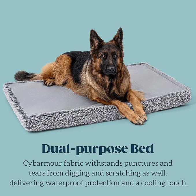 Stoutwool 4" Indestructible Dog Bed - Orthopedic Chew Proof Dog Crate Pad - Fluffy Kennel Mat for Aggressive Chewers - Ideal for Small Breeds & Fits 24-Inch Crate - 23"x16", Charcoal