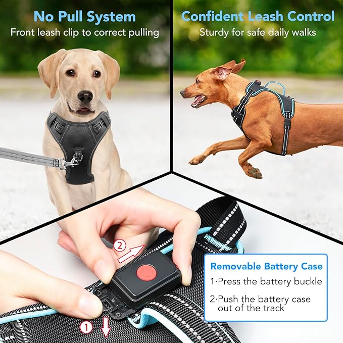LED Dog Harness, No Pull, Light Up, Rechargeable, Blue, Large
