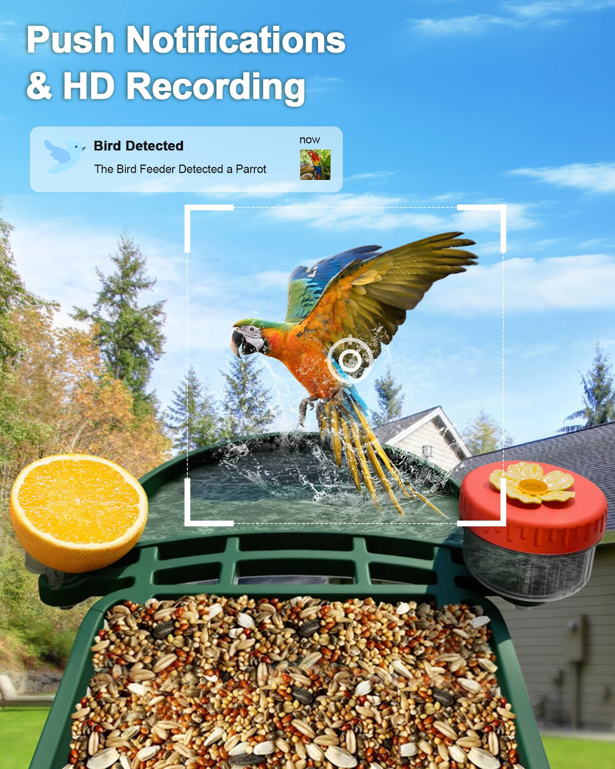 VISIOGEAR 2-in-1 Smart Wild Bird Feeder & Bath with 4K HD Camera, AI Identification Solar Bird Feeder Watching Camera Night Vision for Outdoor Birds Watching Gifts for Birdlover, Red & Green