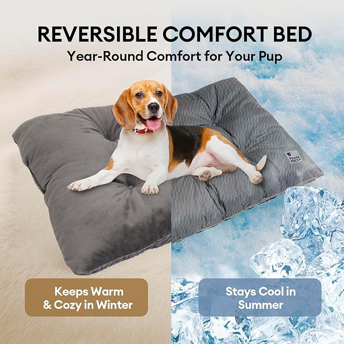 FUNNY FUZZY 30x20 Washable Dog Bed Crate Mat, 2 in1 Pet Pillow Sleeping Bed, Fluffy Deluxe Kennel Mattress for Medium Dog and Cat,Charcoal Grey,M